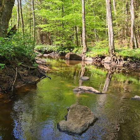 ByskolansvandrarhemBronnestad エクステリア 写真
